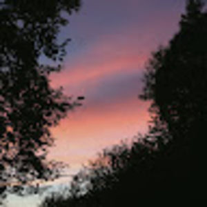 Meet your Posher, Maia